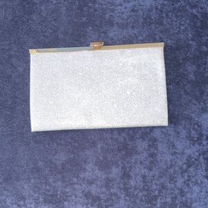 Elegant silver Clutch Bag